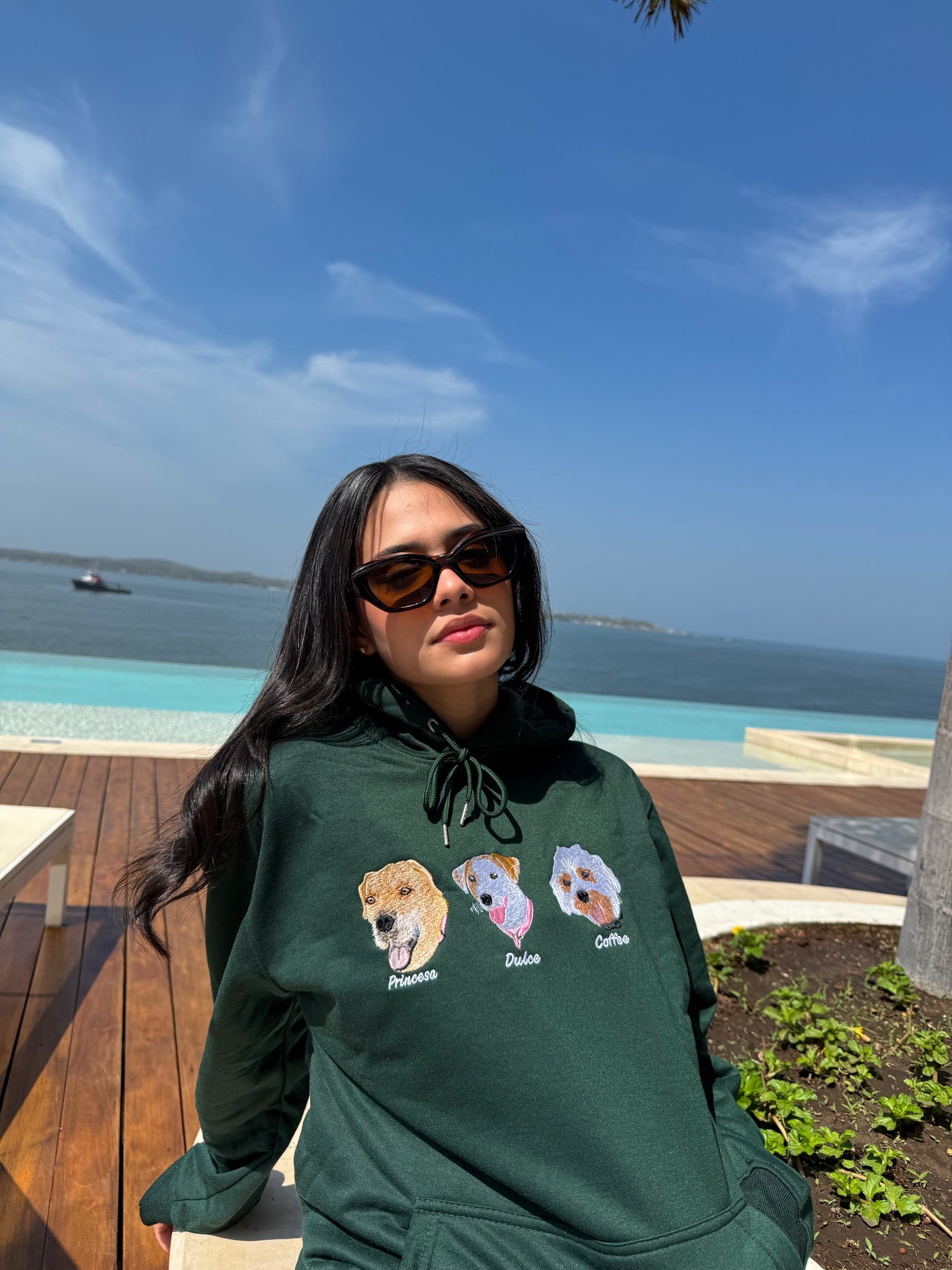 Hoodie personalizado de mascota con 3 o mas caras