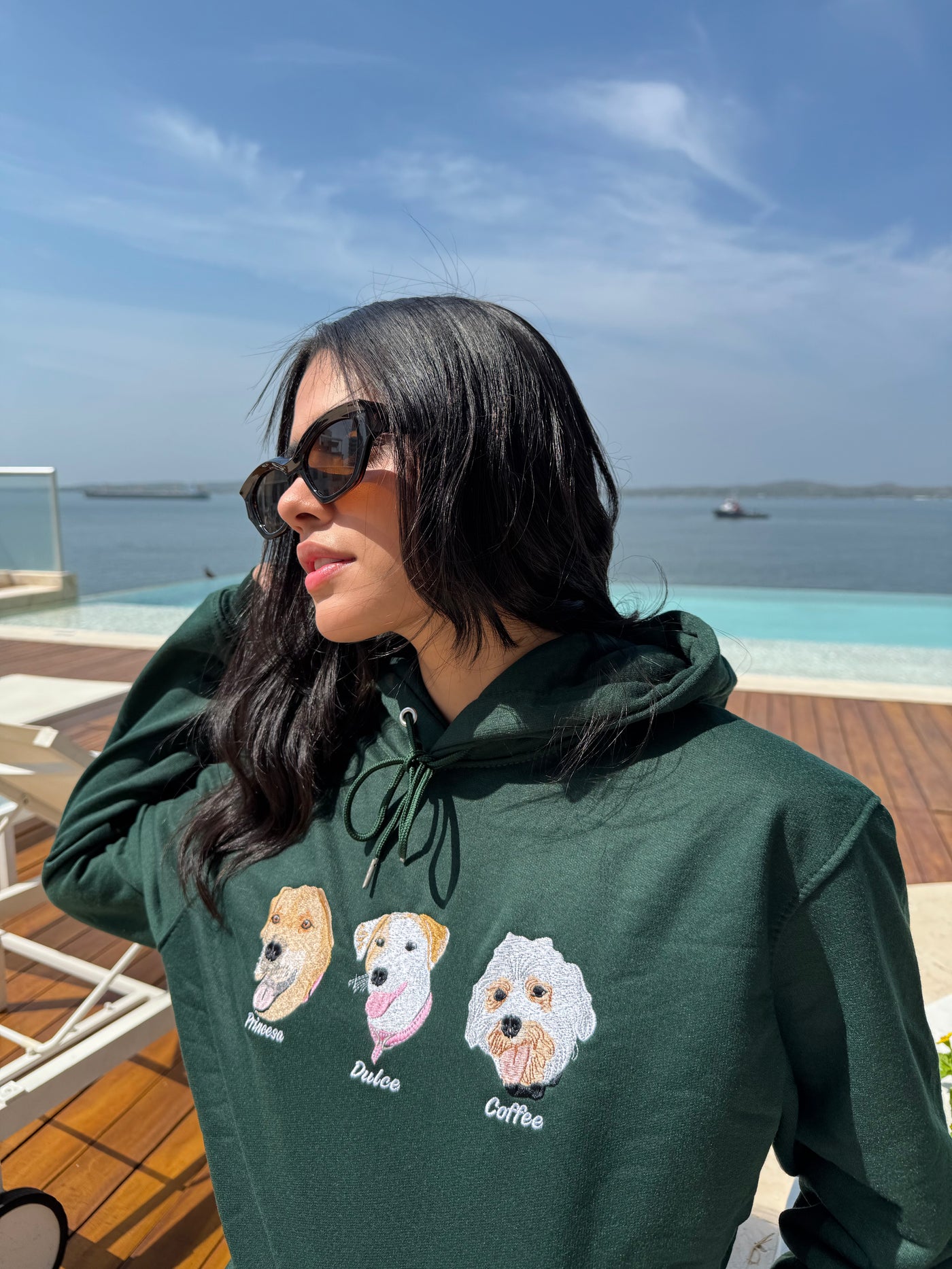 Hoodie personalizado de mascota con 3 o mas caras