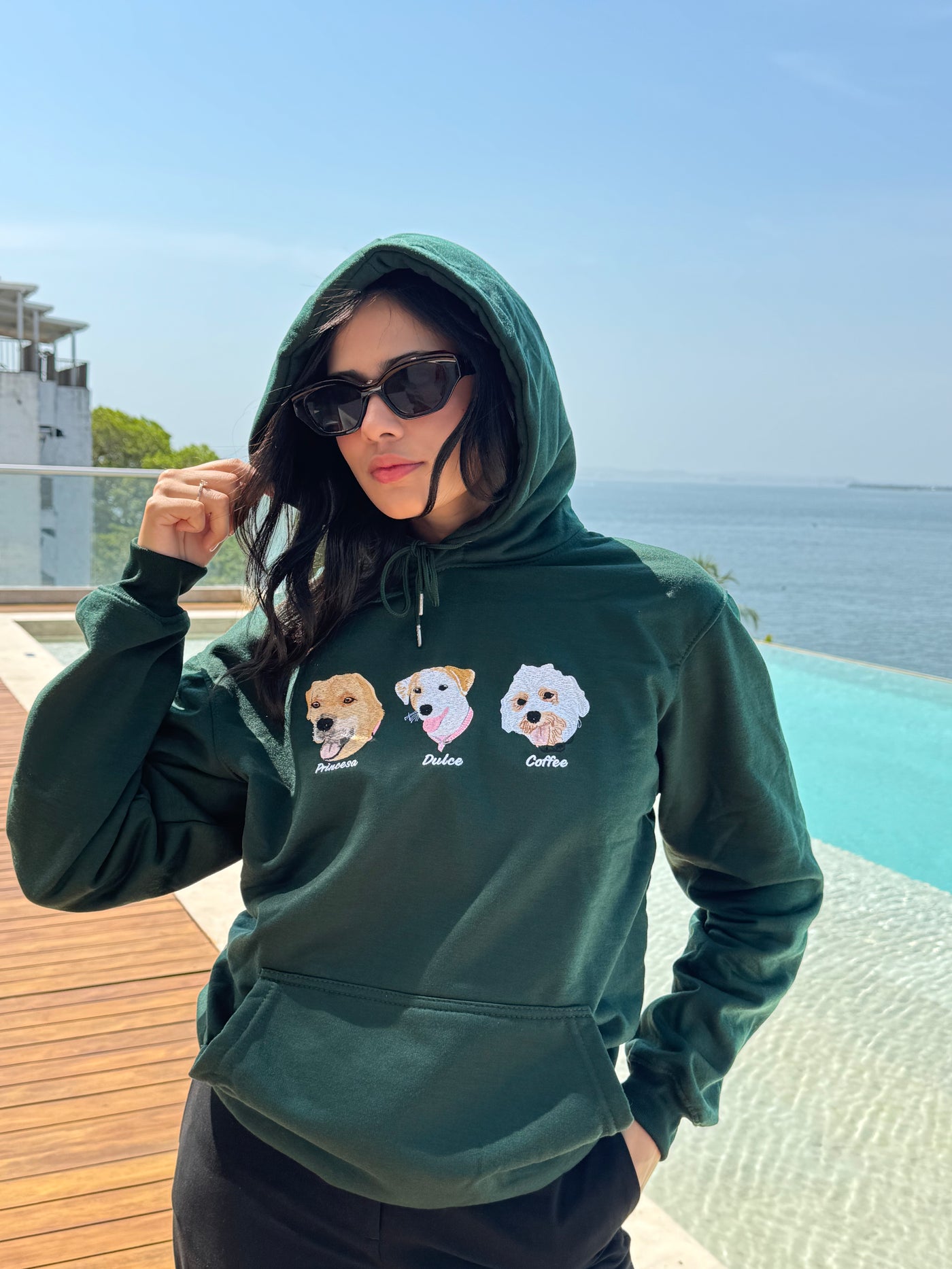 Hoodie personalizado de mascota con 3 o mas caras